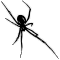 xni spider